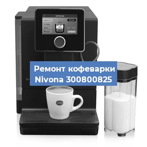Чистка кофемашины Nivona 300800825 от накипи в Санкт-Петербурге